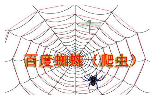 搜索引擎蜘蛛陷阱有哪些？如何避免蜘蛛陷阱