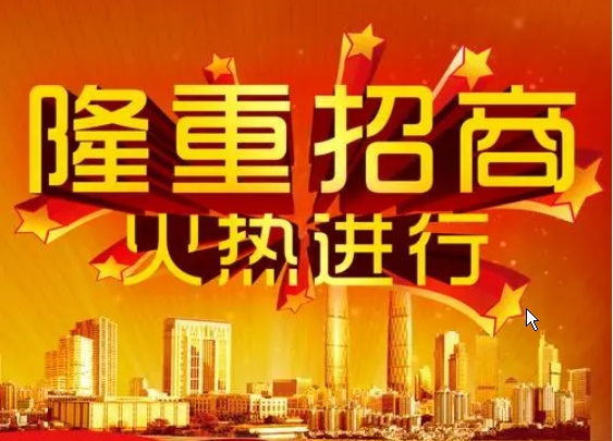 招商網(wǎng)站建設(shè)：連接商機(jī)、吸引投資的數(shù)字化路徑